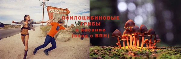 ГАЛЛЮЦИНОГЕННЫЕ ГРИБЫ Новодвинск