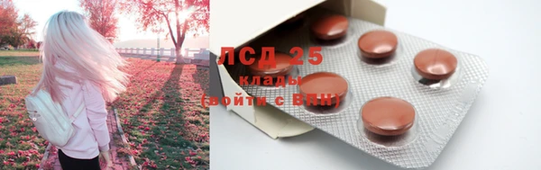ПСИЛОЦИБИНОВЫЕ ГРИБЫ Новозыбков