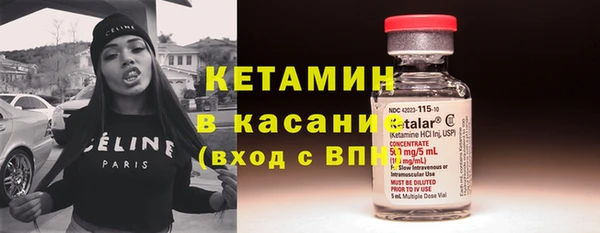 ПСИЛОЦИБИНОВЫЕ ГРИБЫ Новозыбков