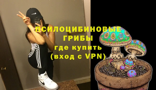 ГАЛЛЮЦИНОГЕННЫЕ ГРИБЫ Новодвинск