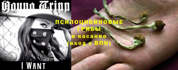 ГАЛЛЮЦИНОГЕННЫЕ ГРИБЫ Новодвинск