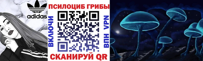 Псилоцибиновые грибы мицелий  Приморск 